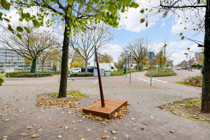 Foto 42 van Petrus Polliusstraat 39