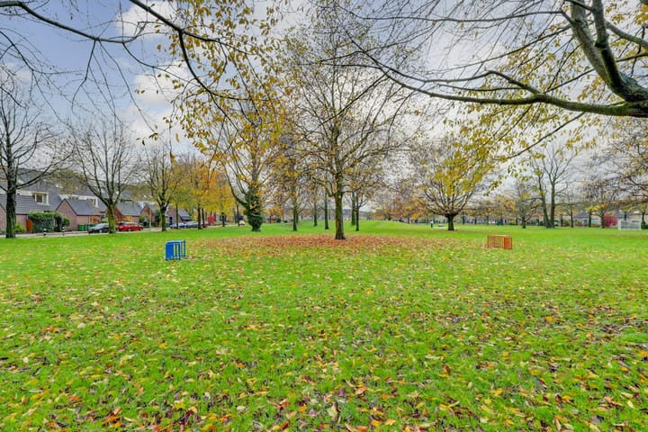 Foto 30 van Albert Cuypstraat 3