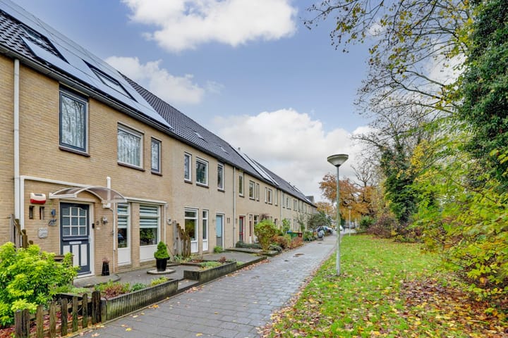 Foto 33 van Albert Cuypstraat 3