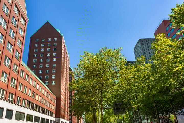 Foto 4 van Laan op Zuid 162