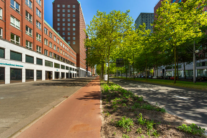 Bekijk foto 22 van Laan op Zuid 162