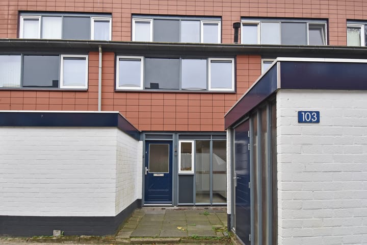 Foto 5 van Rietzoom 103