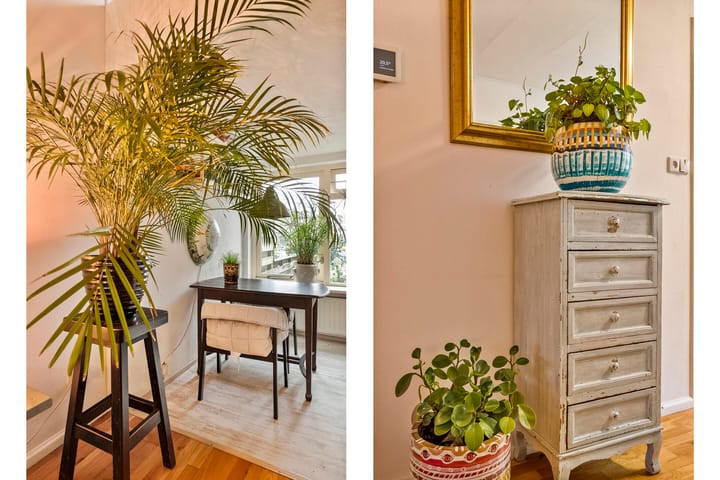 Foto 12 van Leliestraat 23