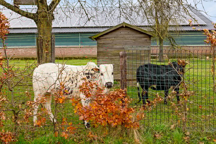 Foto 66 van Kempkensweg 1