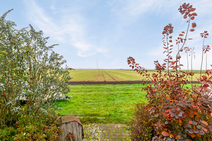 Bekijk foto 2 van Zuiderdiep 273