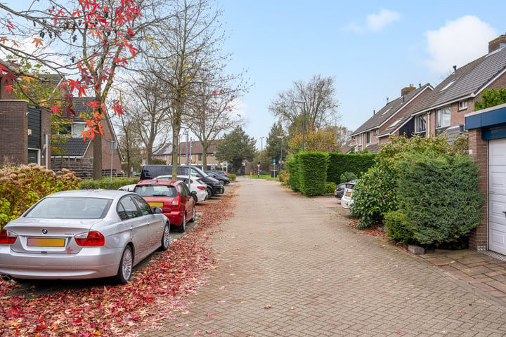 Bekijk foto 33 van Koggeschip 54