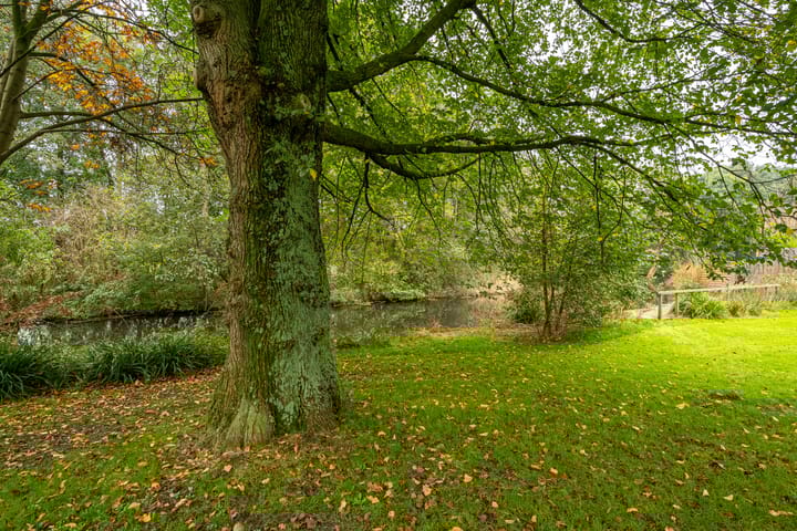 Foto 34 van Koggeschip 54