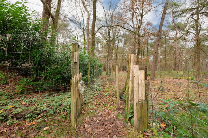 Bekijk foto 10 van Veenhuizerveldweg 39-D