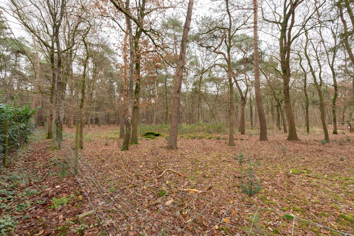 Bekijk foto 11 van Veenhuizerveldweg 39-D