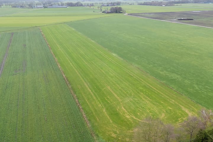 Foto 4 van de Haar 11