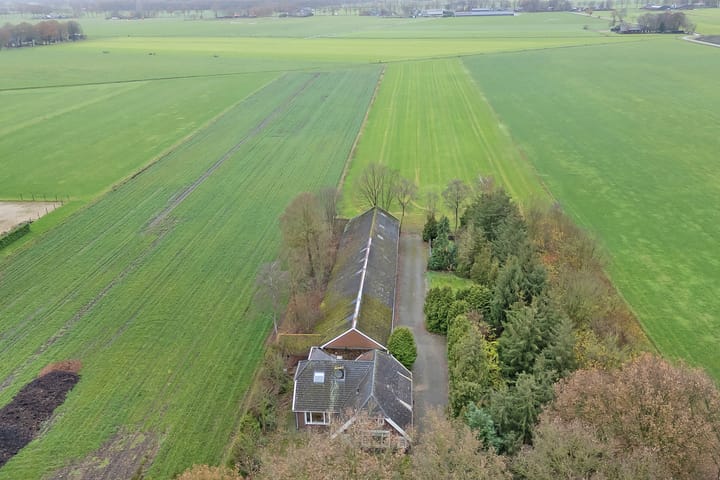 Foto 5 van de Haar 11