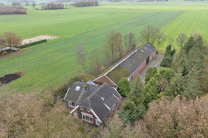 Foto 6 van de Haar 11