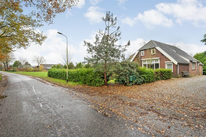 Foto 7 van de Haar 11