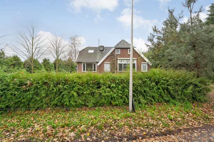 Foto 9 van de Haar 11