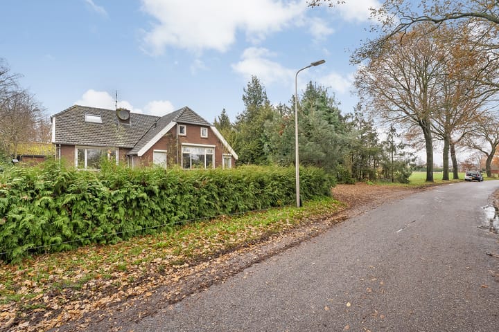 Foto 10 van de Haar 11