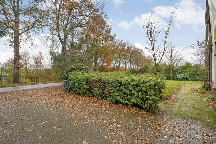 Foto 11 van de Haar 11