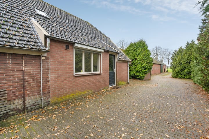 Foto 12 van de Haar 11