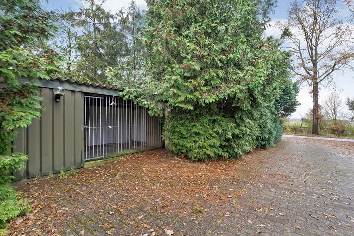 Foto 13 van de Haar 11