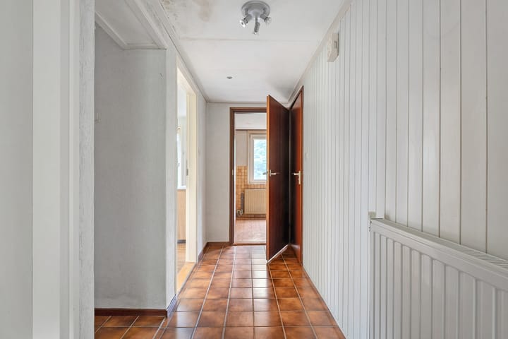 Foto 16 van de Haar 11