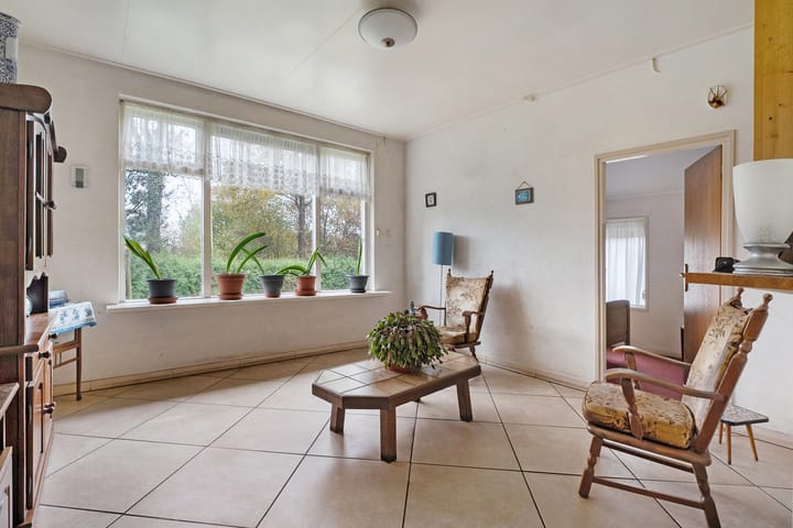 Foto 35 van de Haar 11