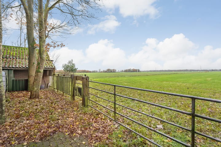 Foto 39 van de Haar 11