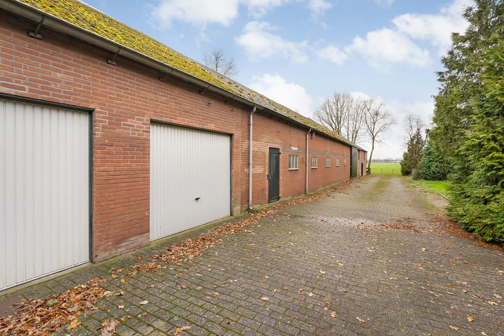 Foto 48 van de Haar 11