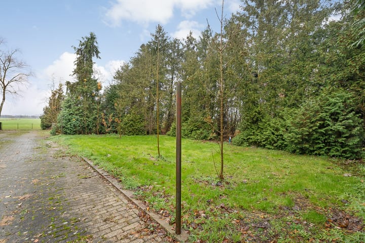 Foto 50 van de Haar 11