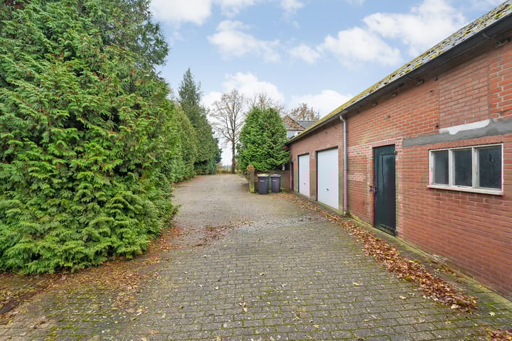 Foto 51 van de Haar 11