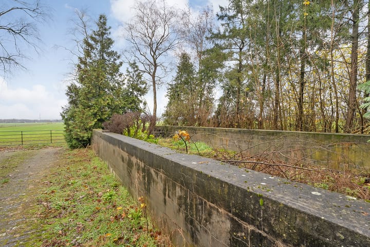 Foto 53 van de Haar 11