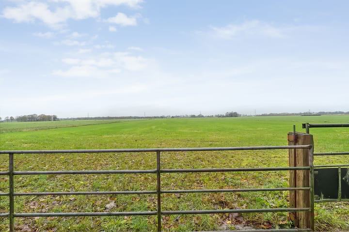 Foto 54 van de Haar 11