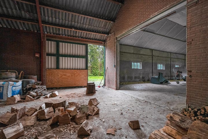 Foto 59 van de Haar 11