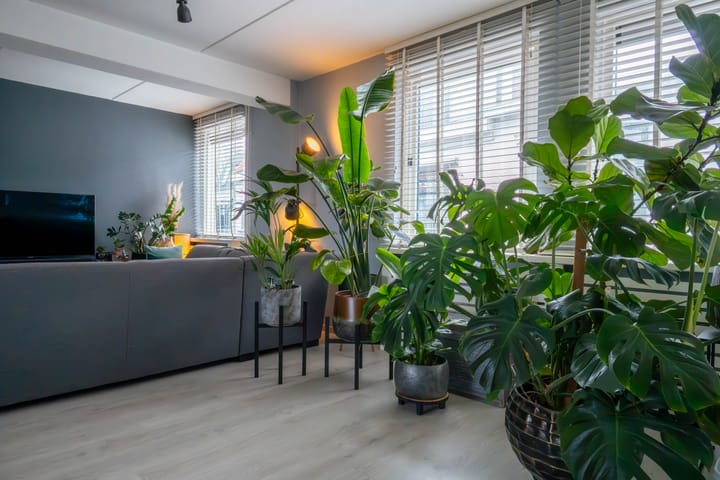 Foto 7 van Molenstraat 5-A