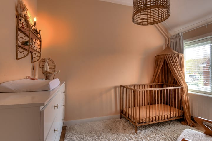 Photo 8 of Pieter Brueghelstraat 1