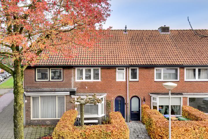 Photo 40 of Pieter Brueghelstraat 1