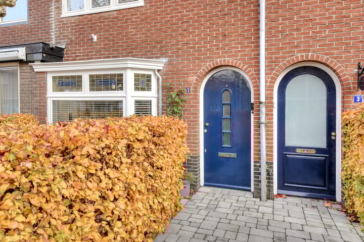 Photo 41 of Pieter Brueghelstraat 1