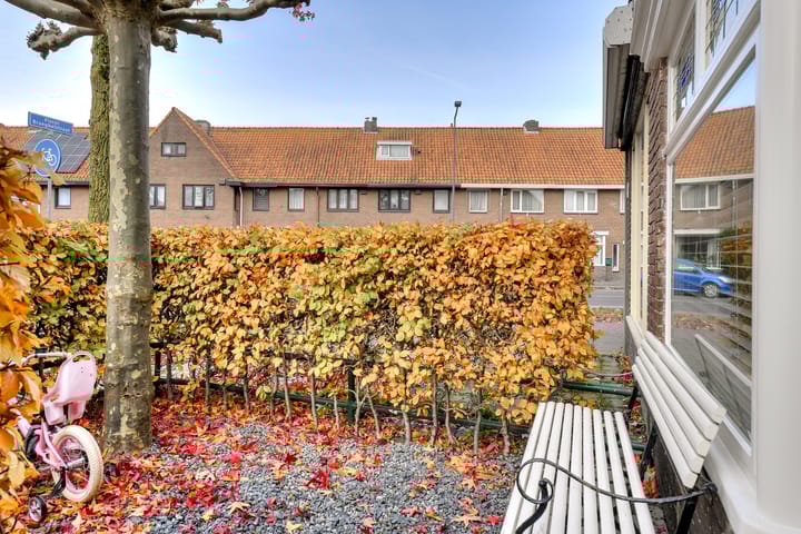 Photo 42 of Pieter Brueghelstraat 1