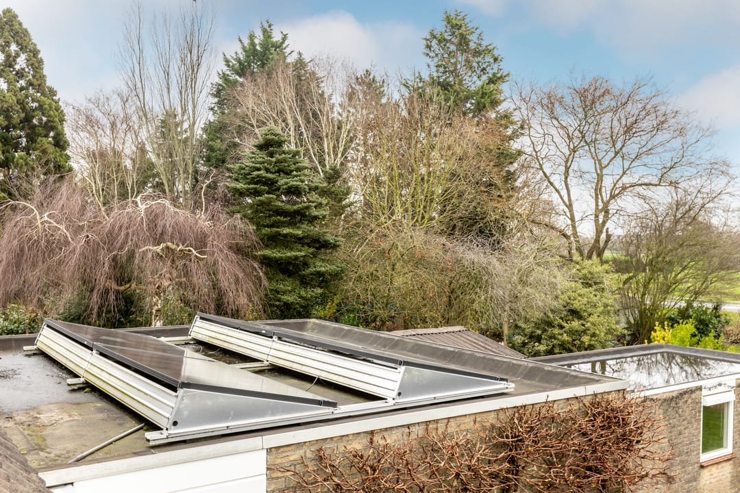 Foto 56 van Zernikelaan 38