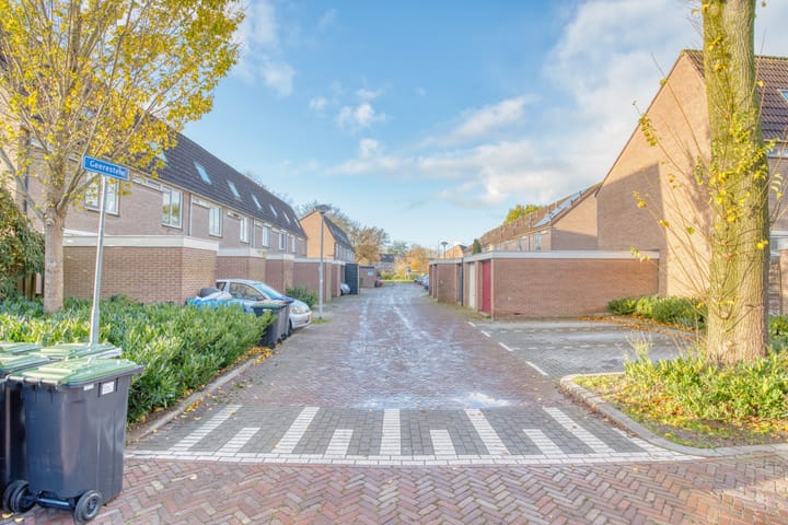 Foto 5 van Geerestein 4