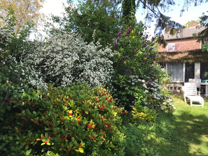 Foto 40 van Osseweg 37