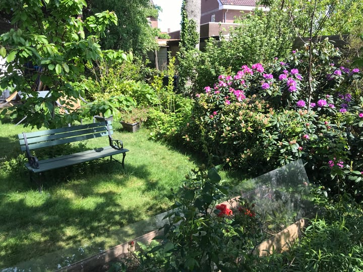 Foto 41 van Osseweg 37