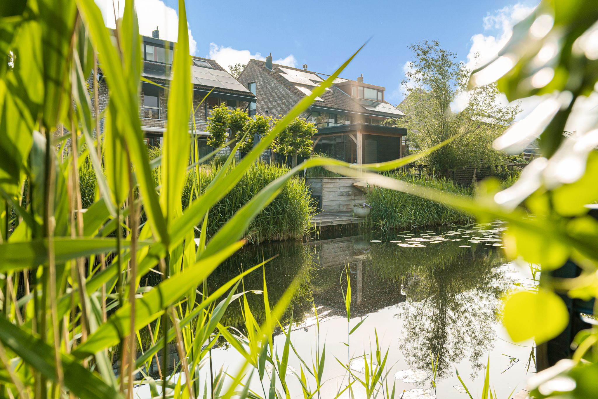 Foto 9 van Vuurboetsduin 83