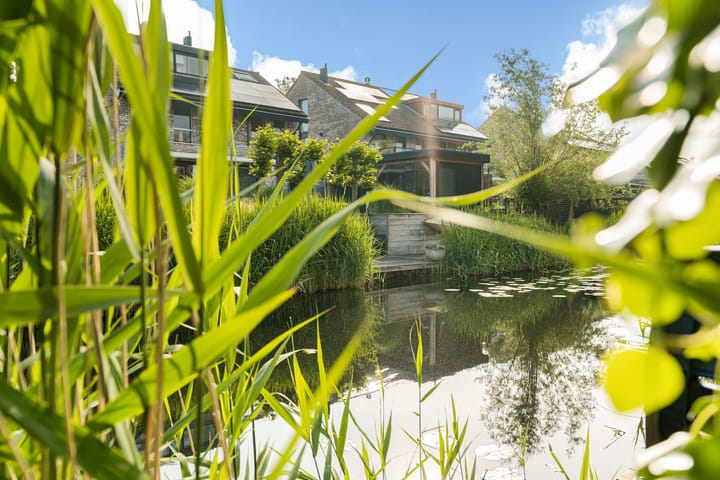 Foto 9 van Vuurboetsduin 83