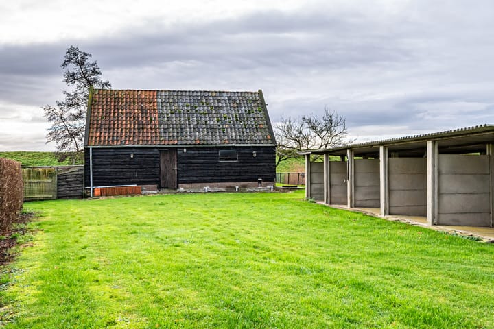 Foto 7 van Hammerdijk 33