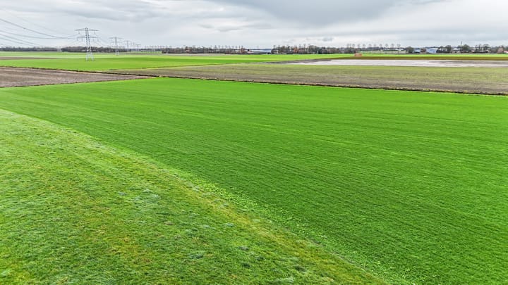 Foto 36 van Hammerdijk 33