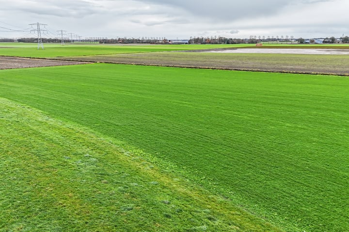 Bekijk foto 36 van Hammerdijk 33