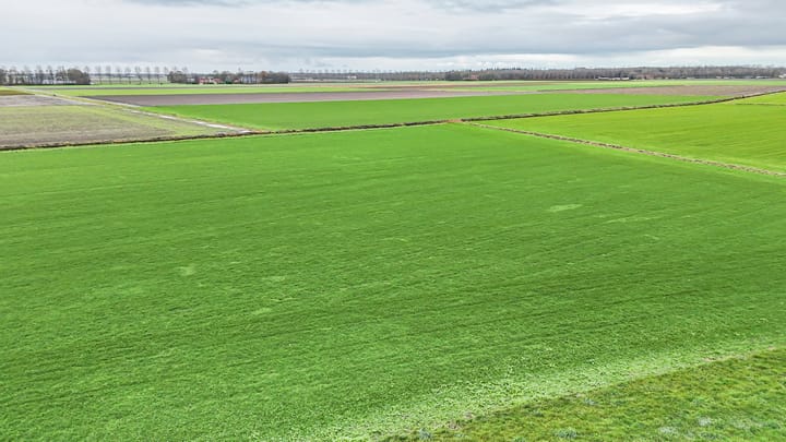 Foto 37 van Hammerdijk 33