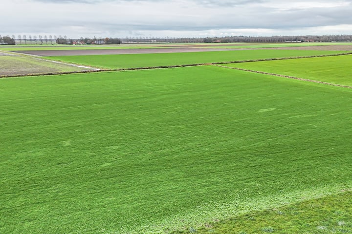 Bekijk foto 37 van Hammerdijk 33