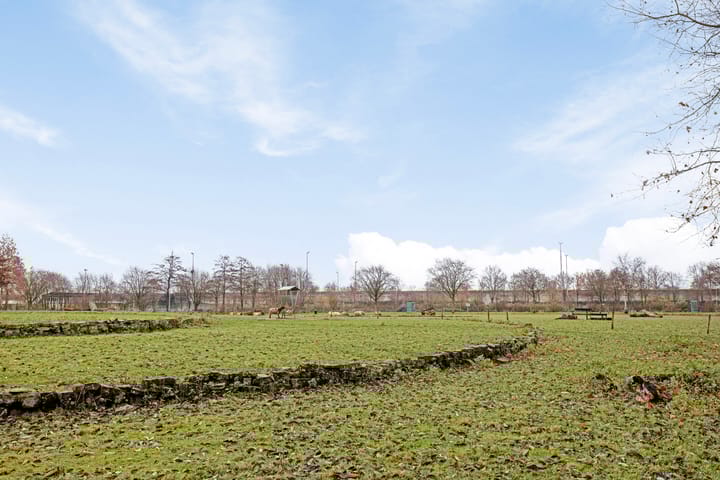 Foto 22 van Reinekeshof 7