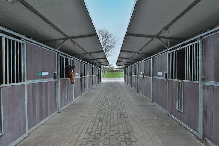 Foto 8 van Voorweg 172