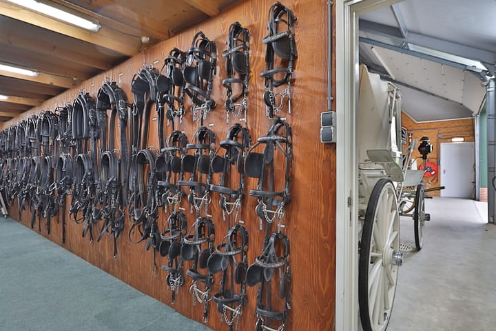 Foto 34 van Voorweg 172